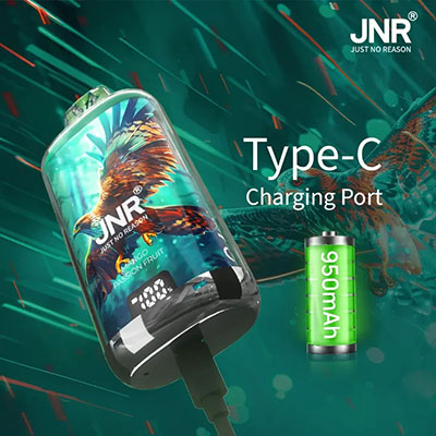 recharge-batterie-usb-type-c-Puff-rechargeable-Toulouse-livraison-rapide-